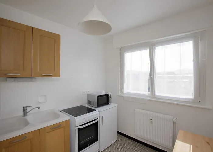 公寓 La Ligne Bleue, Lumineux, Vue Sur Les Vosges