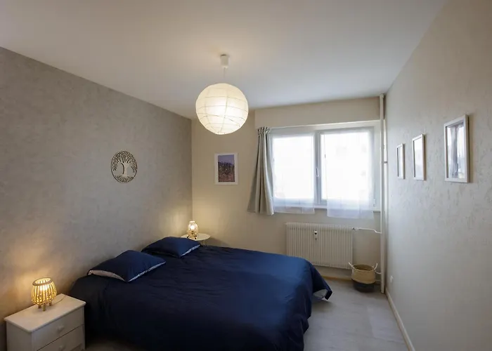 La Ligne Bleue, Lumineux, Vue Sur Les Vosges 公寓 科尔马